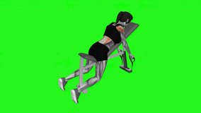 Band Lying Reverse Grip Row fitness exercise workout animation male muscle highlight demonstration at 4K resolution 60 fps crisp quality for websites, apps, blogs, social media etc.