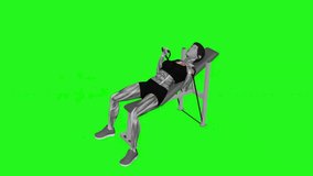 Band Incline Bench Press fitness exercise workout animation male muscle highlight demonstration at 4K resolution 60 fps crisp quality for websites, apps, blogs, social media etc.