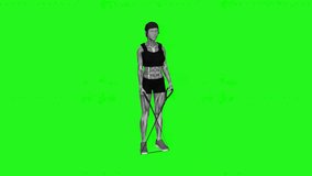 Band Cross Abduction fitness exercise workout animation male muscle highlight demonstration at 4K resolution 60 fps crisp quality for websites, apps, blogs, social media etc.