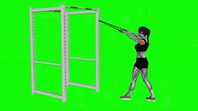 Band standing rear delt row fitness exercise workout animation male muscle highlight demonstration at 4K resolution 60 fps crisp quality for websites, apps, blogs, social media etc.