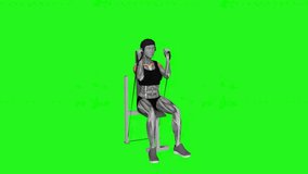 Band Seated Neutral Grip Shoulders Press fitness exercise workout animation male muscle highlight demonstration at 4K resolution 60 fps crisp quality for websites, apps, blogs, social media etc.