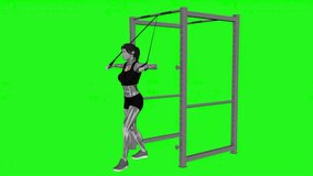 band low chest press fitness exercise workout animation male muscle highlight demonstration at 4K resolution 60 fps crisp quality for websites, apps, blogs, social media etc.