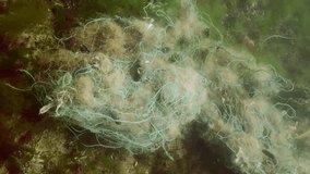 Vertical video, camera moves above lost fishing net lies on seabed in green algae Ulva in Black sea, Ghost gear pollution of Seas and Ocean, Slow motion
