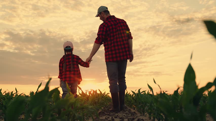 Dad daughter hold hands in field. Father, child walk on field, sunset. Kid girl, dad go hand in hand, field corn sprouts. Family farming business. Agricultural industry. Growing corn, organic food Royalty-Free Stock Footage #1105697401