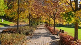 POV walk through the beautiful park in fall season. Bright autumn trees with falling yellow leaves and wooden bench in the park. Beautiful sunny autumn day. Autumn landscape in the city. - Powered by Shutterstock - Get 15% off with code: PIKWIZARD15