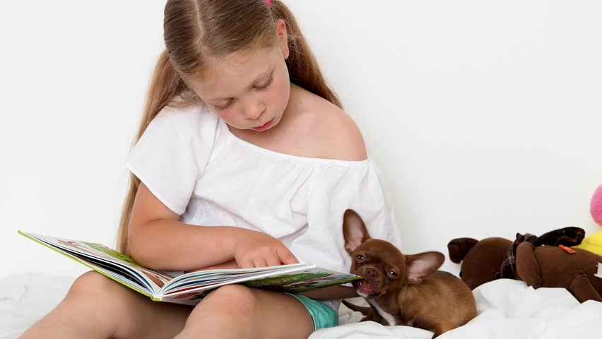 The girl reads a book, and the dog lies nearby and gnaws at the book. Joint pastime, children's leisure. Funny moment in my life. The dog is chewing on a book. Royalty-Free Stock Footage #1105705009