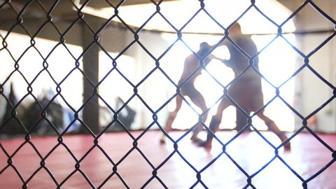 MMA fighters spar in a boxing cage.