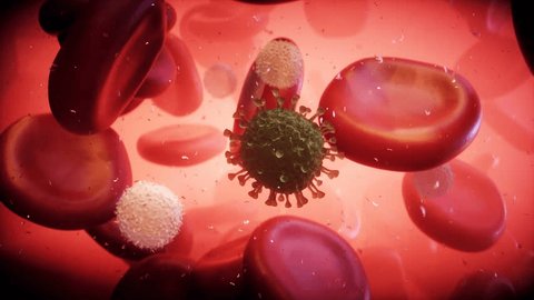 Virus and blood cell inside human body. Nanomedecine concept. realistic 4k animation. Video de stock