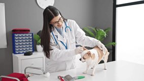 Young hispanic woman with chihuahua dog veterinarian examining dog at veterinary clinic - Powered by Shutterstock - Get 15% off with code: PIKWIZARD15