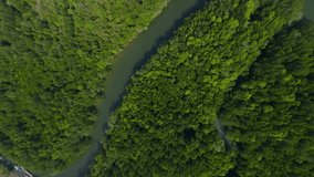 Vertical video 4k. Top view tropical calm river flying over Asian village embankment boat water river local rural house green forest aerial view. FPV sport drone countryside port harbor fishing sunny