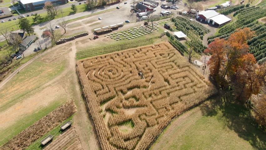 Aerial view of a corn maze in autumn