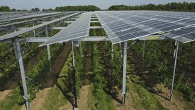 Crops Growing Under The Solar Panel - Agrivoltaics System - aerial sideways close - Powered by Shutterstock - Get 15% off with code: PIKWIZARD15