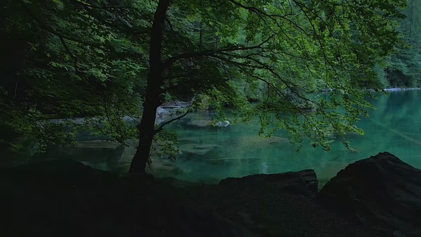 Green Trees and Pond Landscape Outdoors Park Background