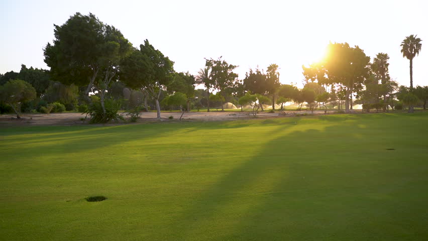 A beautiful golf course with green grass, trees, lake and feather grass on a sunny day.