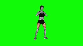 Alternating Hamstring Curl with Punch fitness exercise workout animation male muscle highlight demonstration at 4K resolution 60 fps crisp quality for websites, apps, blogs, social media etc.
