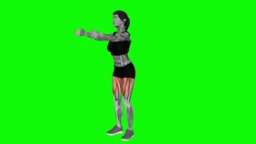 Archer Stepback fitness exercise workout animation male muscle highlight demonstration at 4K resolution 60 fps crisp quality for websites, apps, blogs, social media etc.