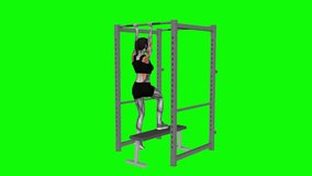 Assisted Chin-up on a bench fitness exercise workout animation male muscle highlight demonstration at 4K resolution 60 fps crisp quality for websites, apps, blogs, social media etc.