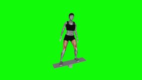 Balance Board fitness exercise workout animation male muscle highlight demonstration at 4K resolution 60 fps crisp quality for websites, apps, blogs, social media etc.