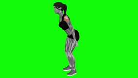 Backhand Raise fitness exercise workout animation male muscle highlight demonstration at 4K resolution 60 fps crisp quality for websites, apps, blogs, social media etc.