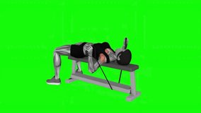 Band Bench Press fitness exercise workout animation male muscle highlight demonstration at 4K resolution 60 fps crisp quality for websites, apps, blogs, social media etc.