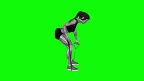 Band Bent over One Arm Kickback fitness exercise workout animation male muscle highlight demonstration at 4K resolution 60 fps crisp quality for websites, apps, blogs, social media etc.