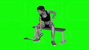 Band Concentration Curl fitness exercise workout animation male muscle highlight demonstration at 4K resolution 60 fps crisp quality for websites, apps, blogs, social media etc.