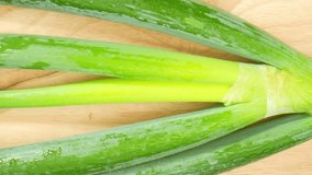 A video showcases Japanese bunching onions, adorned with glistening water droplets, capturing their vibrant green hue and the refreshing allure of nature. Vegetable concept. Onion background

