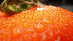 Observed up close with a probe lens, the details become even more pronounced, allowing us to witness the tomato's texture, colors, and the mesmerizing behavior of water droplets. Tomato background
