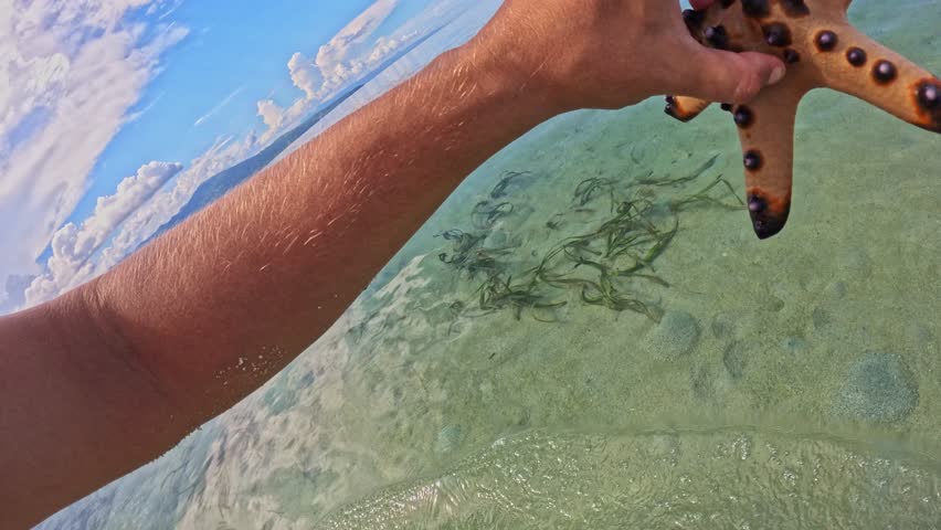 Red starfish on the beach in hand