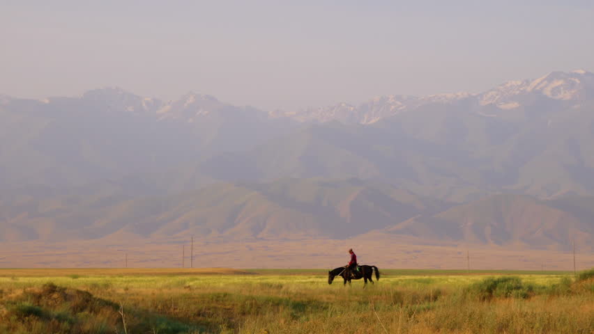 Central Tien Shan. Foothills. Rider on a wild horse. Wall of mountains in the background, steppe in the foreground. Golden hour photography