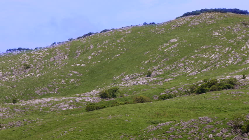 Blue sky, fresh green and karst land