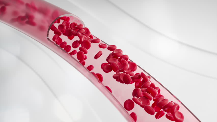 Red blood cell flow inside an artery, Scientific and medical 3d animation background.
