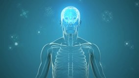 Animation of human body with glowing brain and particles on blue background. Global science, research, connections, computing and data processing concept digitally generated video.