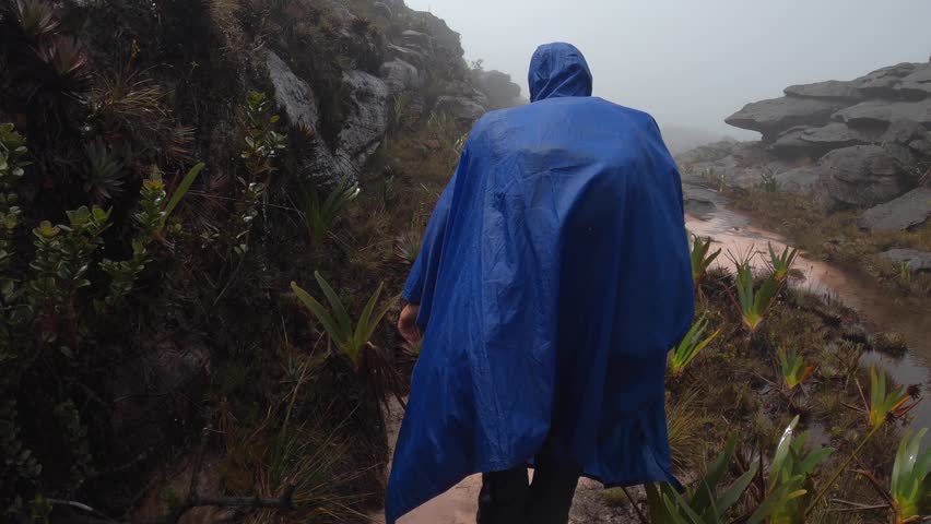 Back view of hiker in blue raincoat traveling on summit of Mount Roraima on cloudy rainy day, Canaima national park, Venezuela