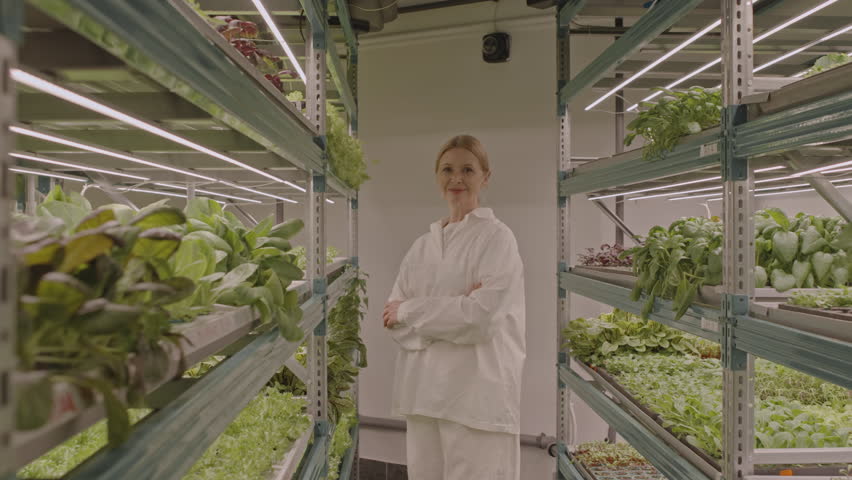 Zoom in medium portrait of Caucasian female vertical farm expert posing with hands folded at camera standing in aisle with growing seasonings on both sides Royalty-Free Stock Footage #1105825017