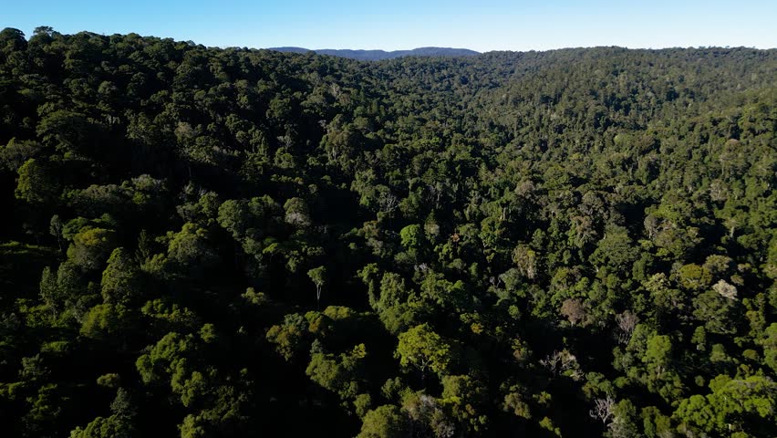 Aerial over Lamington National Park, Gold Coast Hinterland, Scenic Rim