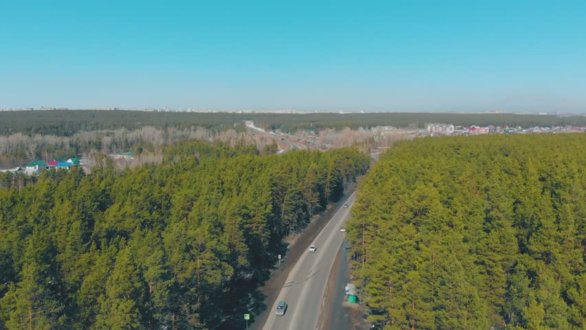 pictorial thick pine forest surround long road with driving cars against cottage village aerial view