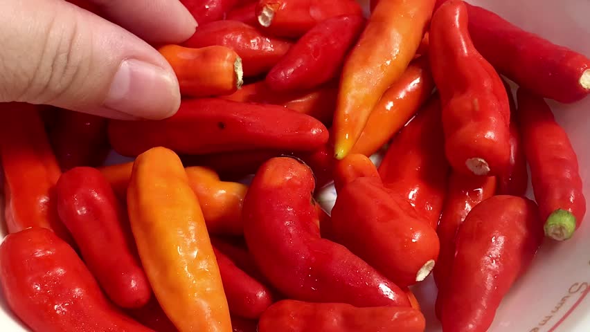 Cayenne pepper ( cabe rawit ) is a type of chili that has a very high level of spiciness.
