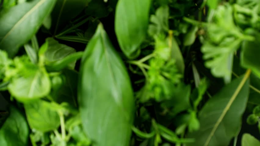 Super slow motion of rotating fresh herbs on black background. Ultimate perspective and motion. Filmed on high speed cinema camera, 1000 fps. Camera placed on high speed cine bot, following the target Royalty-Free Stock Footage #1105850785