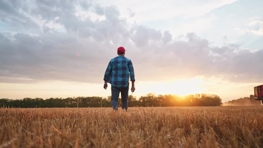 agriculture. farmer walk works in field next to a tractor that plows the land. business agriculture concept. farmer with tablet works in a field next to a tractor at sunset mowed farm wheat plows Royalty-Free Stock Footage #1105853263