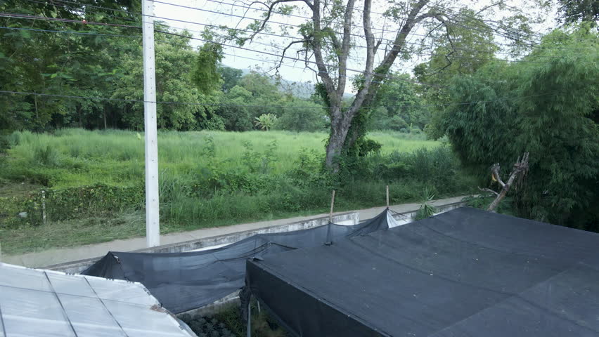 Elevated view of a greenhouse full of pots trees and plants