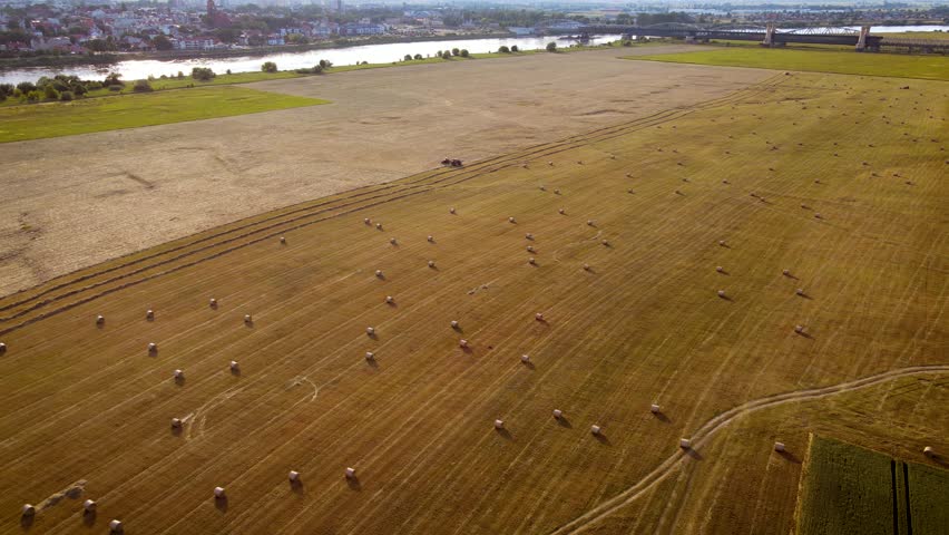 Large agricultural field after wheat harvesting with driving hay round bale tractor with tedder moving yellow grass for livestock feeding. Work in agronomic farm for making business and production