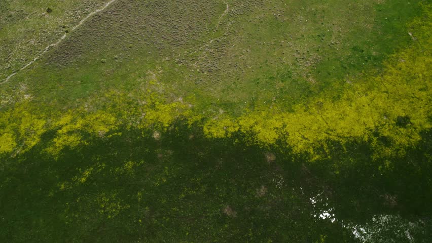 Countryside Meadow Of Willow Creek In Southeast Oregon, United States - aerial top down