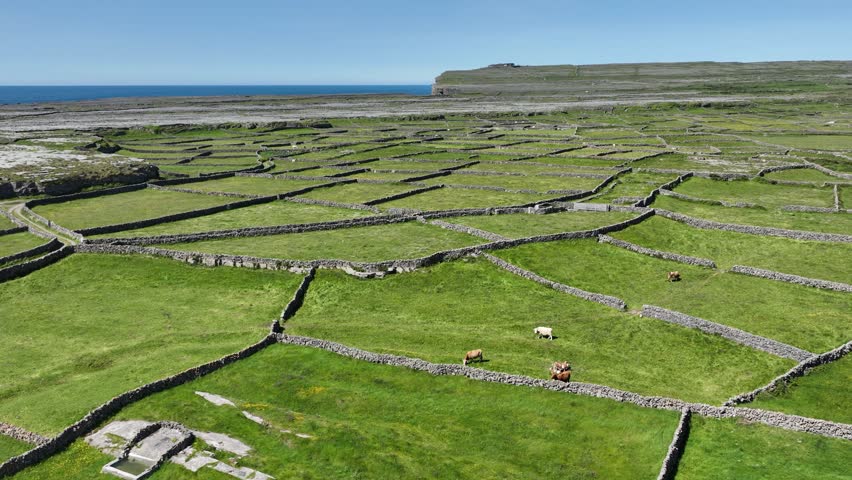 flyover of ancient field system and lush pastures Inis More Aran Islands West Of Ireland Royalty-Free Stock Footage #1105906545