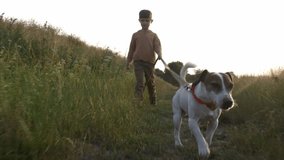 Little boy walking with a dog on leash on rural road in countryside