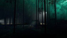 The background of rain falling in the bamboo forest in the cool evening, there are camping huts under many dim lights in the rainy night - Powered by Shutterstock - Get 15% off with code: PIKWIZARD15