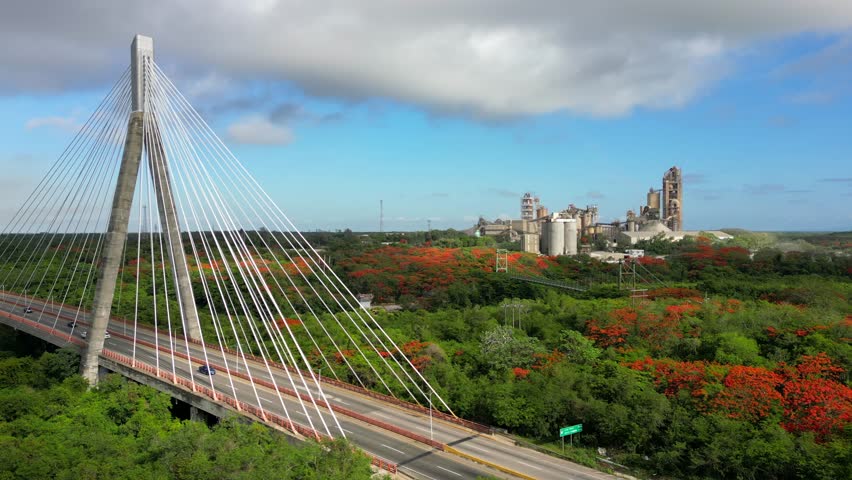 Aerial static shot of suspension The Mauricio Baez cable-stayed bridge and cement plant in the background. Cars driving by speed highway between green forest at sunrise. Dominican Republic