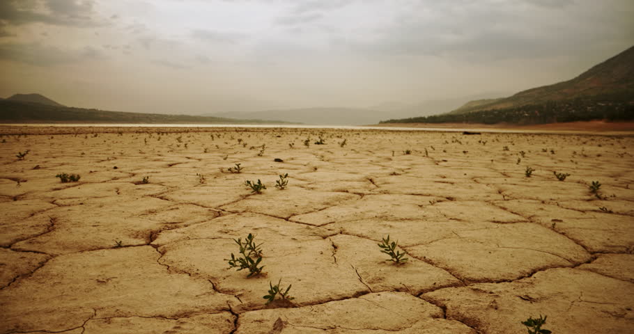 Yellow faded dry cracked from heat ground, effects of global warming and rising temperatures of earth. Loss of fertile soil layer, becoming desert, reminiscent of global problem of desertification.