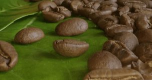 Coffee beans on green leaves, close-up footage