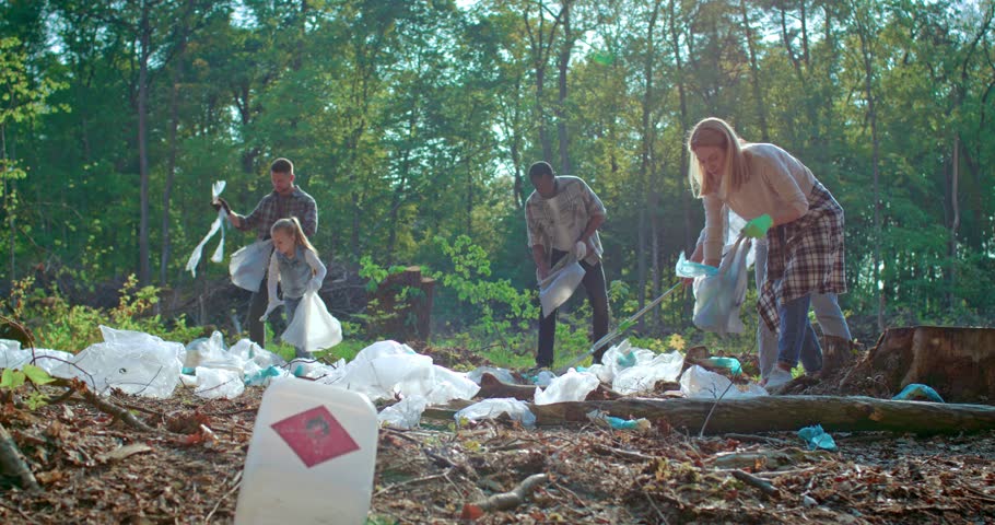 Group of volunteer environmentalists pick up plastic bottle in forest. Recycling, sustainability and climate change with charity volunteer and trash for pollution. Volunteer and ecology concept